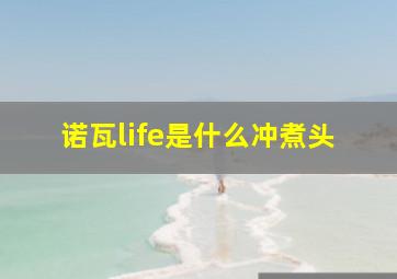 诺瓦life是什么冲煮头