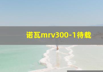 诺瓦mrv300-1待载