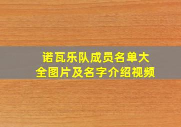 诺瓦乐队成员名单大全图片及名字介绍视频