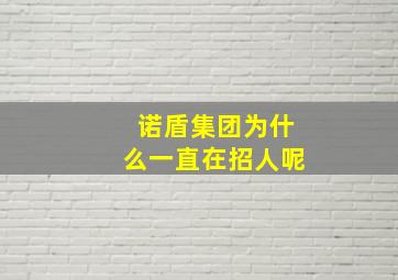 诺盾集团为什么一直在招人呢