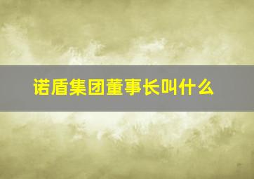 诺盾集团董事长叫什么