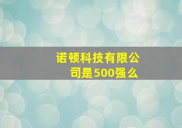 诺顿科技有限公司是500强么