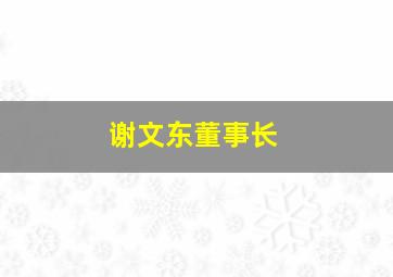 谢文东董事长