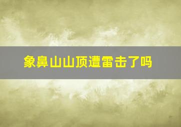 象鼻山山顶遭雷击了吗