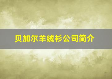 贝加尔羊绒衫公司简介