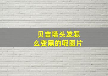 贝吉塔头发怎么变黑的呢图片