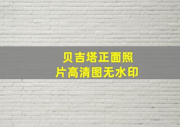 贝吉塔正面照片高清图无水印