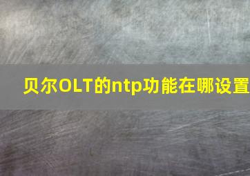 贝尔OLT的ntp功能在哪设置