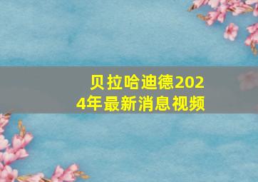 贝拉哈迪德2024年最新消息视频