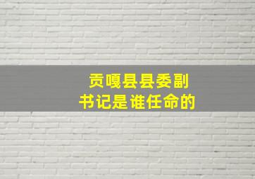 贡嘎县县委副书记是谁任命的