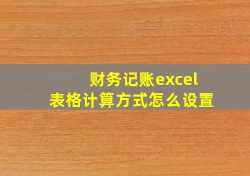 财务记账excel表格计算方式怎么设置