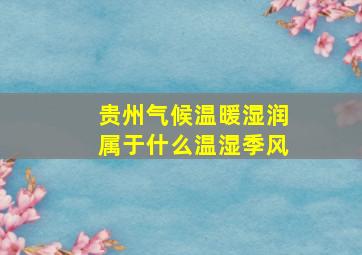 贵州气候温暖湿润属于什么温湿季风