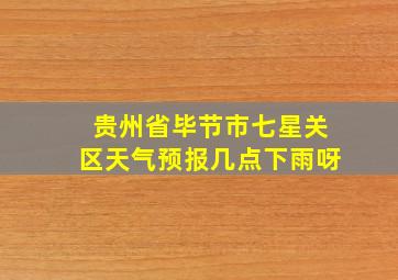 贵州省毕节市七星关区天气预报几点下雨呀