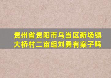 贵州省贵阳市乌当区新场镇大桥村二亩组刘勇有案子吗