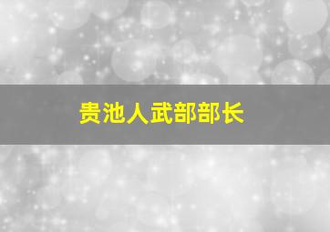 贵池人武部部长