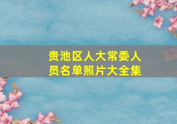 贵池区人大常委人员名单照片大全集