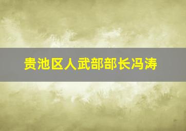 贵池区人武部部长冯涛