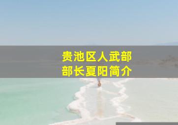 贵池区人武部部长夏阳简介