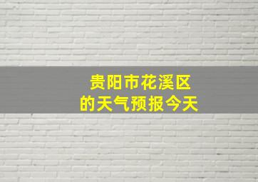 贵阳市花溪区的天气预报今天