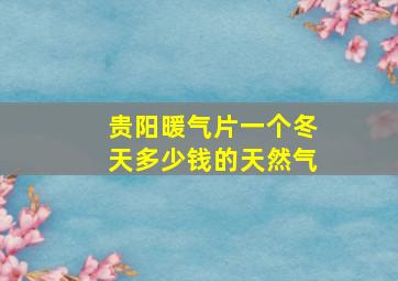 贵阳暖气片一个冬天多少钱的天然气