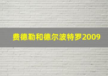 费德勒和德尔波特罗2009