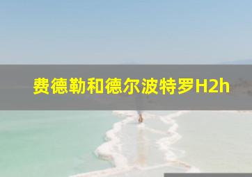 费德勒和德尔波特罗H2h