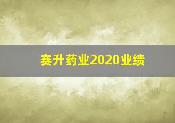 赛升药业2020业绩