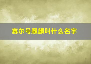 赛尔号麒麟叫什么名字