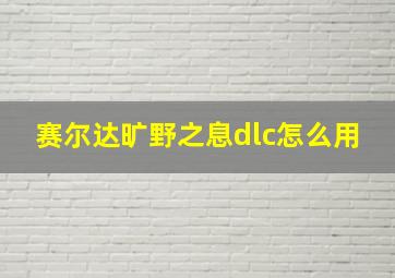 赛尔达旷野之息dlc怎么用