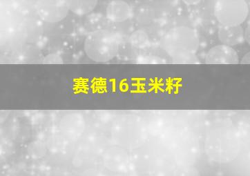 赛德16玉米籽