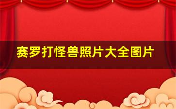 赛罗打怪兽照片大全图片