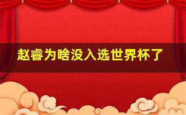 赵睿为啥没入选世界杯了