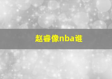 赵睿像nba谁