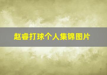 赵睿打球个人集锦图片