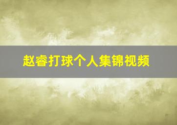 赵睿打球个人集锦视频