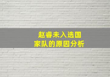 赵睿未入选国家队的原因分析