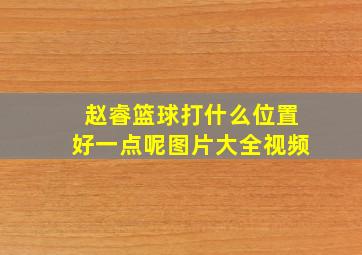 赵睿篮球打什么位置好一点呢图片大全视频