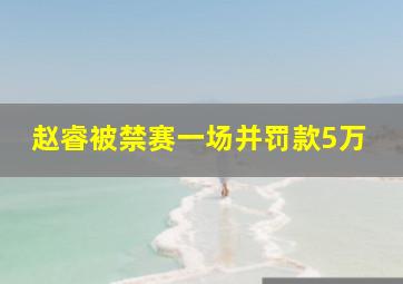 赵睿被禁赛一场并罚款5万