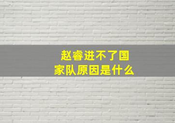 赵睿进不了国家队原因是什么