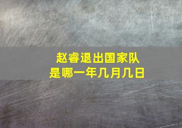 赵睿退出国家队是哪一年几月几日