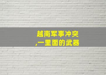 越南军事冲突,一里面的武器