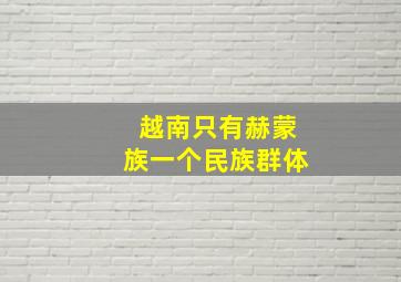 越南只有赫蒙族一个民族群体