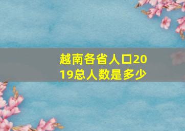 越南各省人口2019总人数是多少