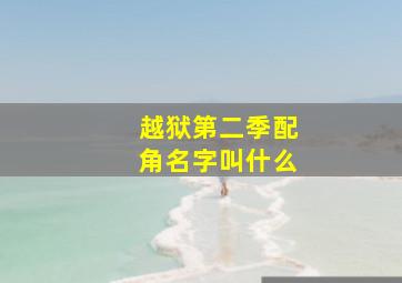 越狱第二季配角名字叫什么