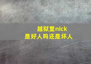 越狱里nick是好人吗还是坏人