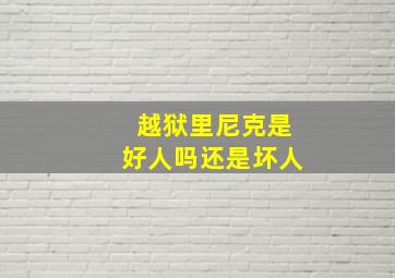 越狱里尼克是好人吗还是坏人