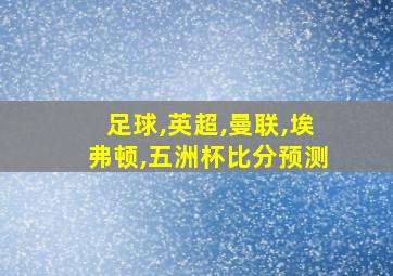 足球,英超,曼联,埃弗顿,五洲杯比分预测