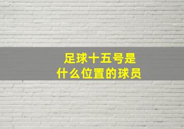 足球十五号是什么位置的球员