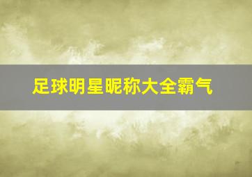 足球明星昵称大全霸气