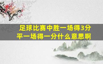 足球比赛中胜一场得3分平一场得一分什么意思啊